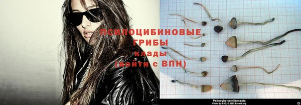 ALPHA PVP Касимов